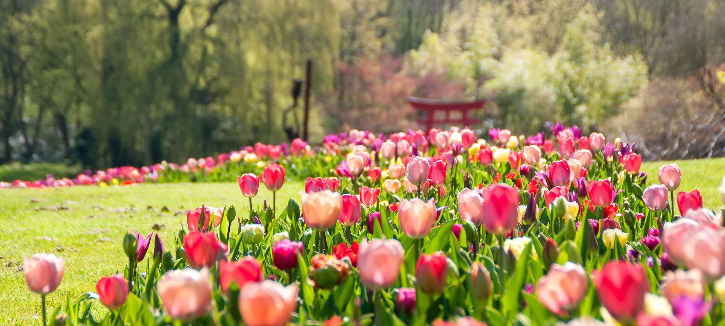 1. April - Die Schlossgärten Arcen eröffnen die Gartensaison
