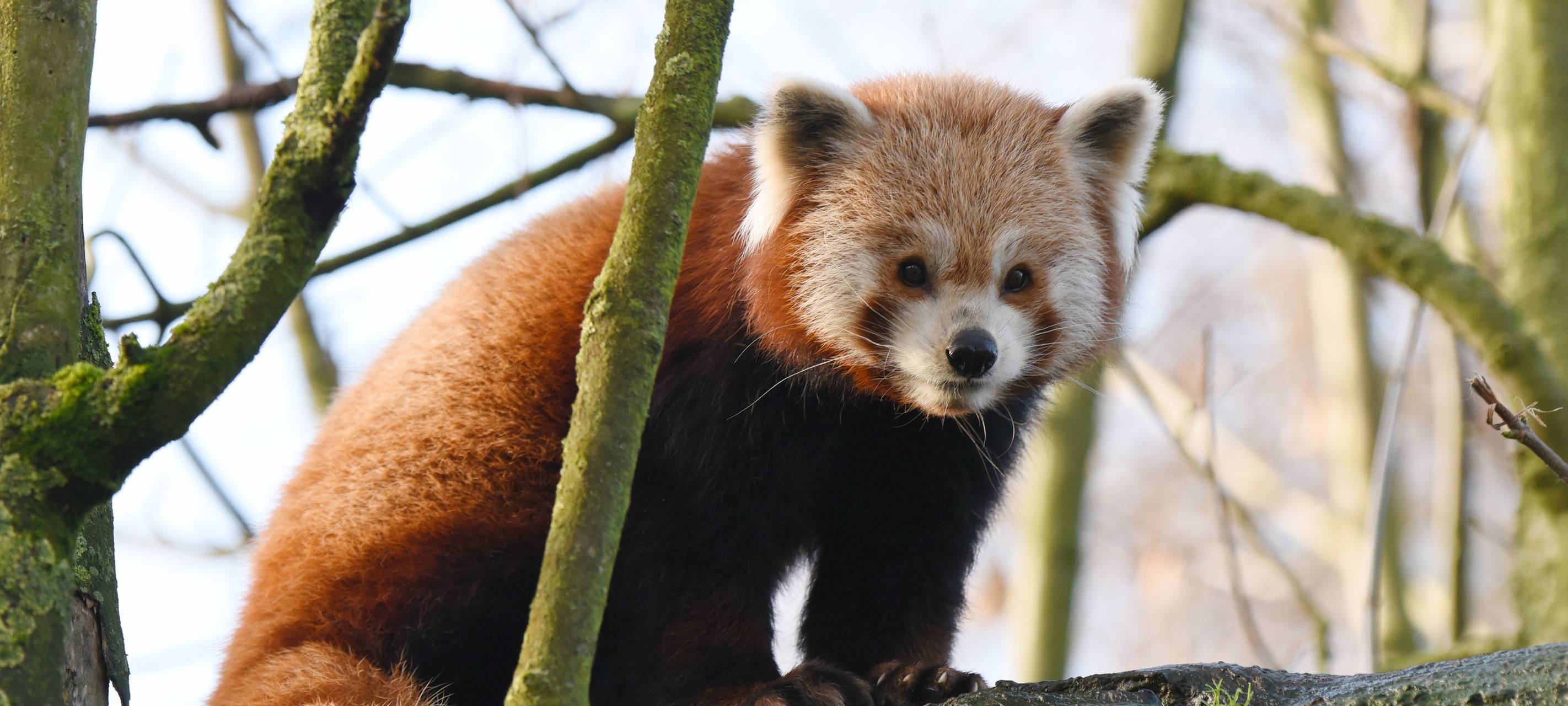 Herbstferien-Aktionen im Tiergarten Kleve