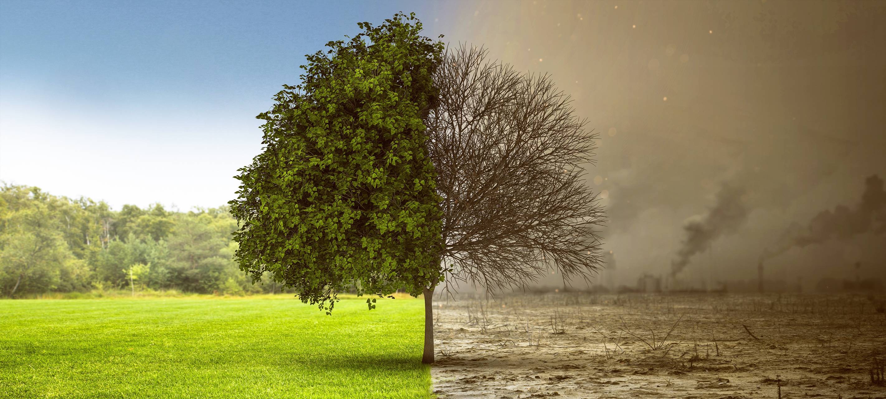 Arnheim/Euregio: Sehr schlechte Luftqualität