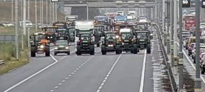 Den Haag/Euregio: Gericht zwingt Regierung zu mehr Umweltschutz