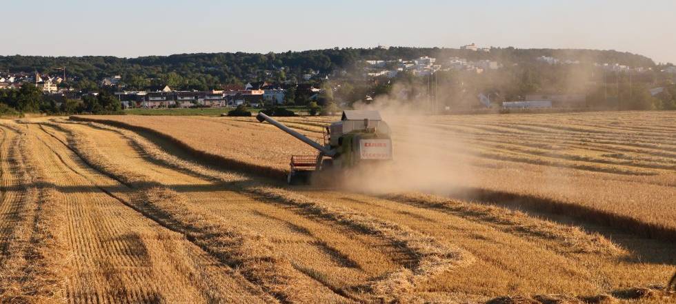 Niederrhein: Özdemir bleibt bei Nein zu Doppel-Einsparungen bei Landwirten