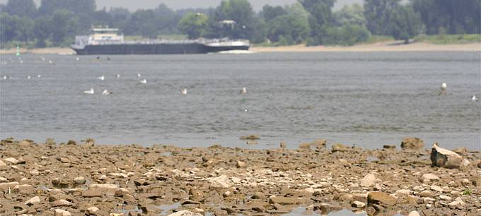 Niederrhein: Rhein hat sich von Dürre wieder erholt