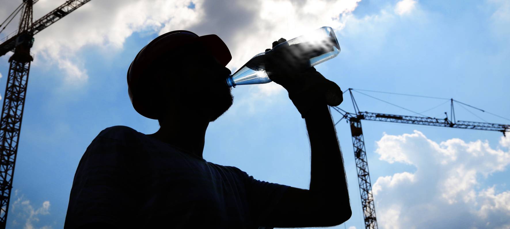 Kreis Kleve: Von Sonnenbrand bedroht