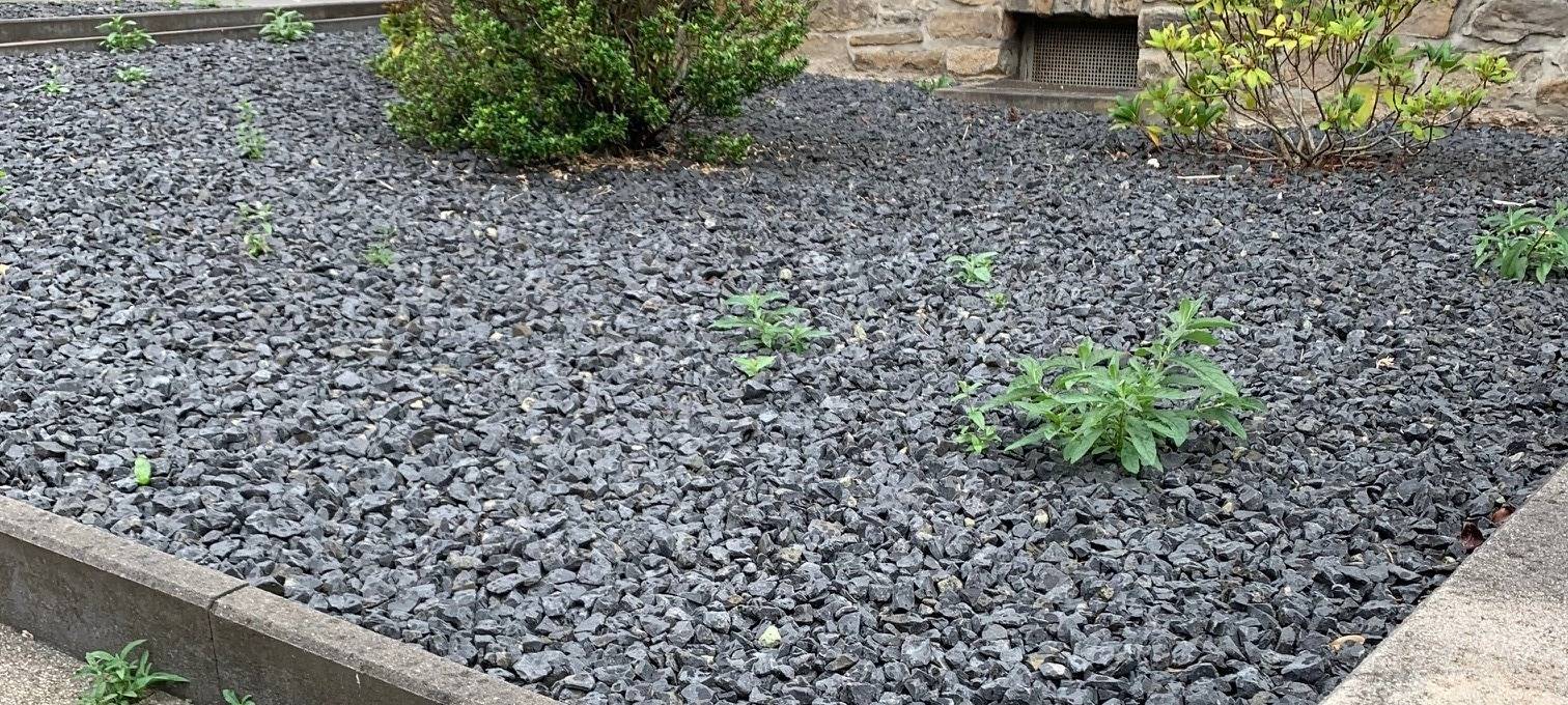 Tegeltaxis bald auch in Emmerich?