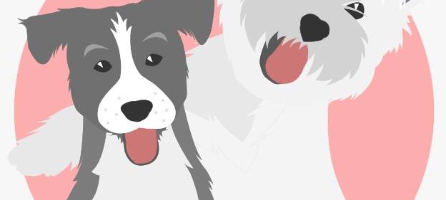 17. Sept. - 4. Benefiz-Treffen Westies und andere kleine Hunde