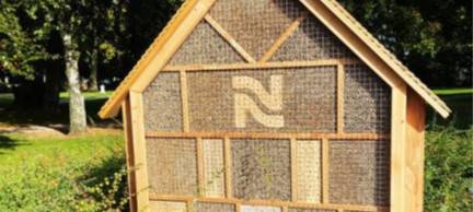 Kreis Kleve: Wildbienen finden neues Zuhause