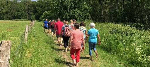Emmerich: Weiterer Schritt in Richtung Luftkurort für Elten