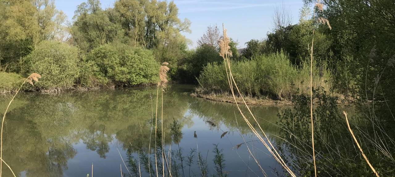 Emmerich: "Die Moiedtjes" soll Naturschutzgebiet bleiben