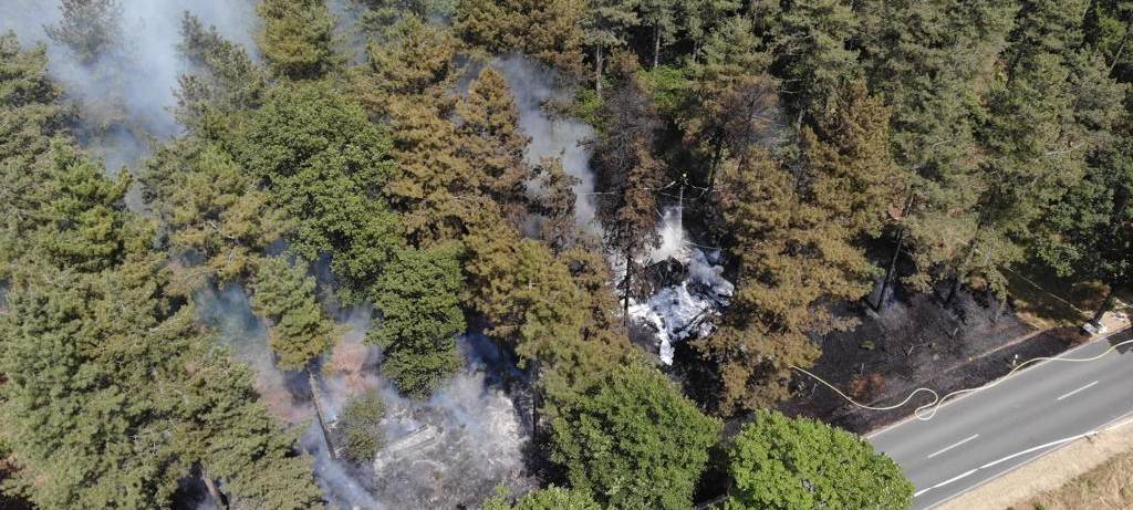 Niederrhein: Waldbrand-Früherkennung wird ausgebaut