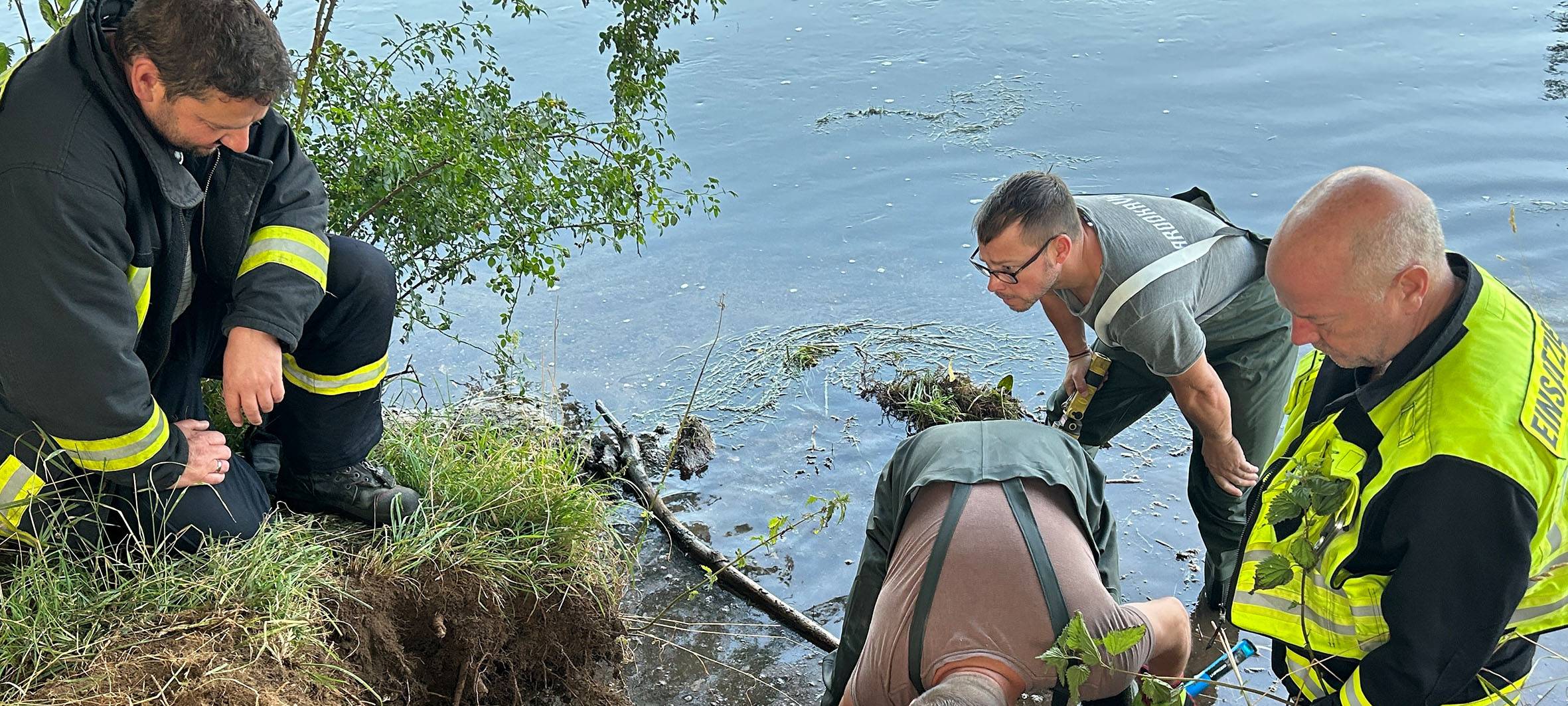 Dackel Rüde "Skyb" nach 8 Stunden aus Nutria-Bau befreit