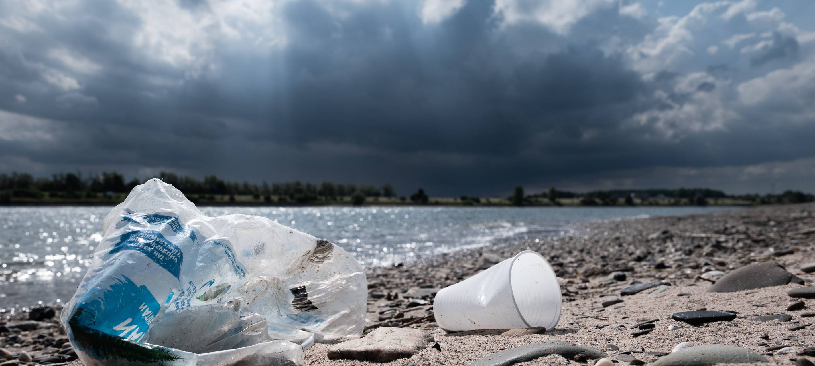 Kreis Kleve: Freiwillige für "Plastikmüllprojekt" gesucht