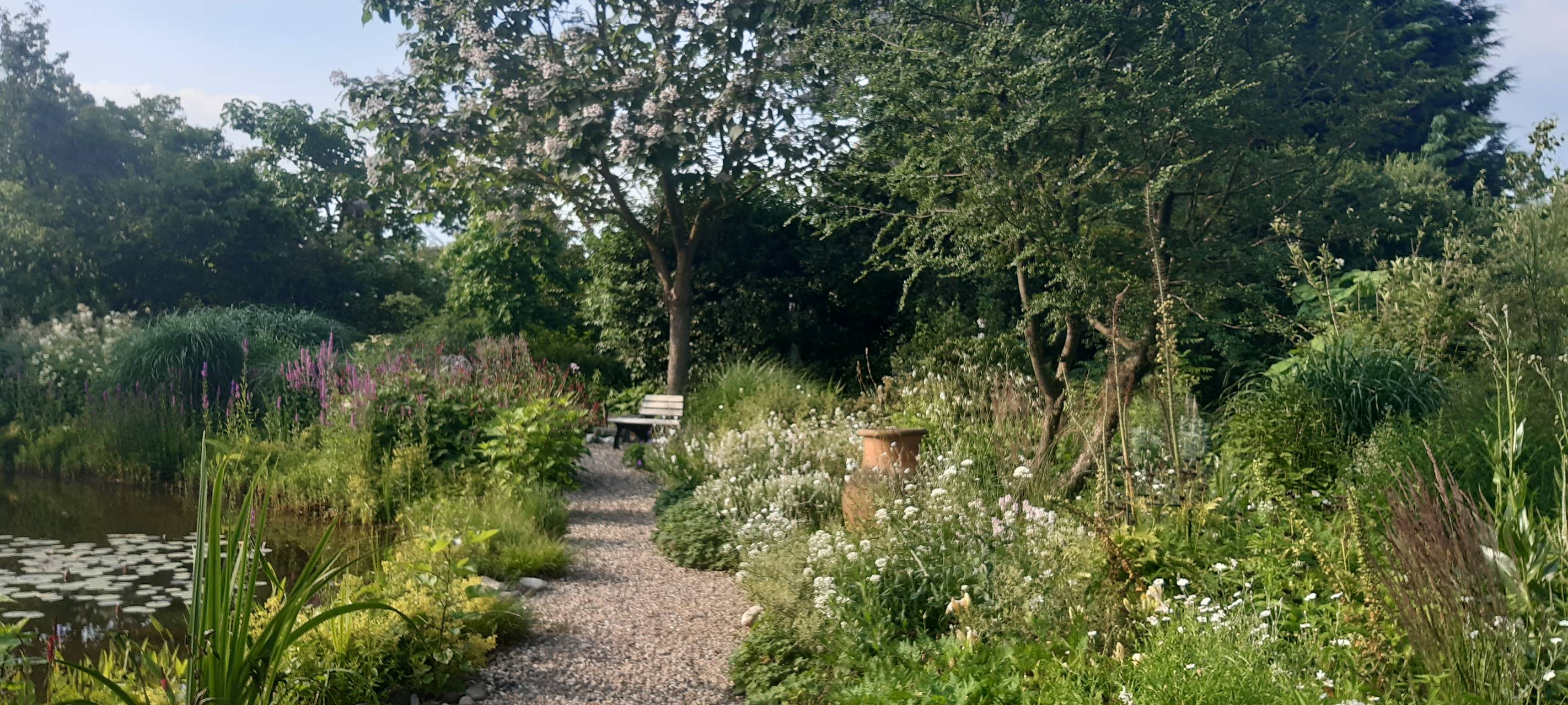 Kreis Kleve: Bewerbung für Gartenwettbewerbe möglich