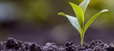 Kleve: Online-Umfrage zur Klimaanpassung