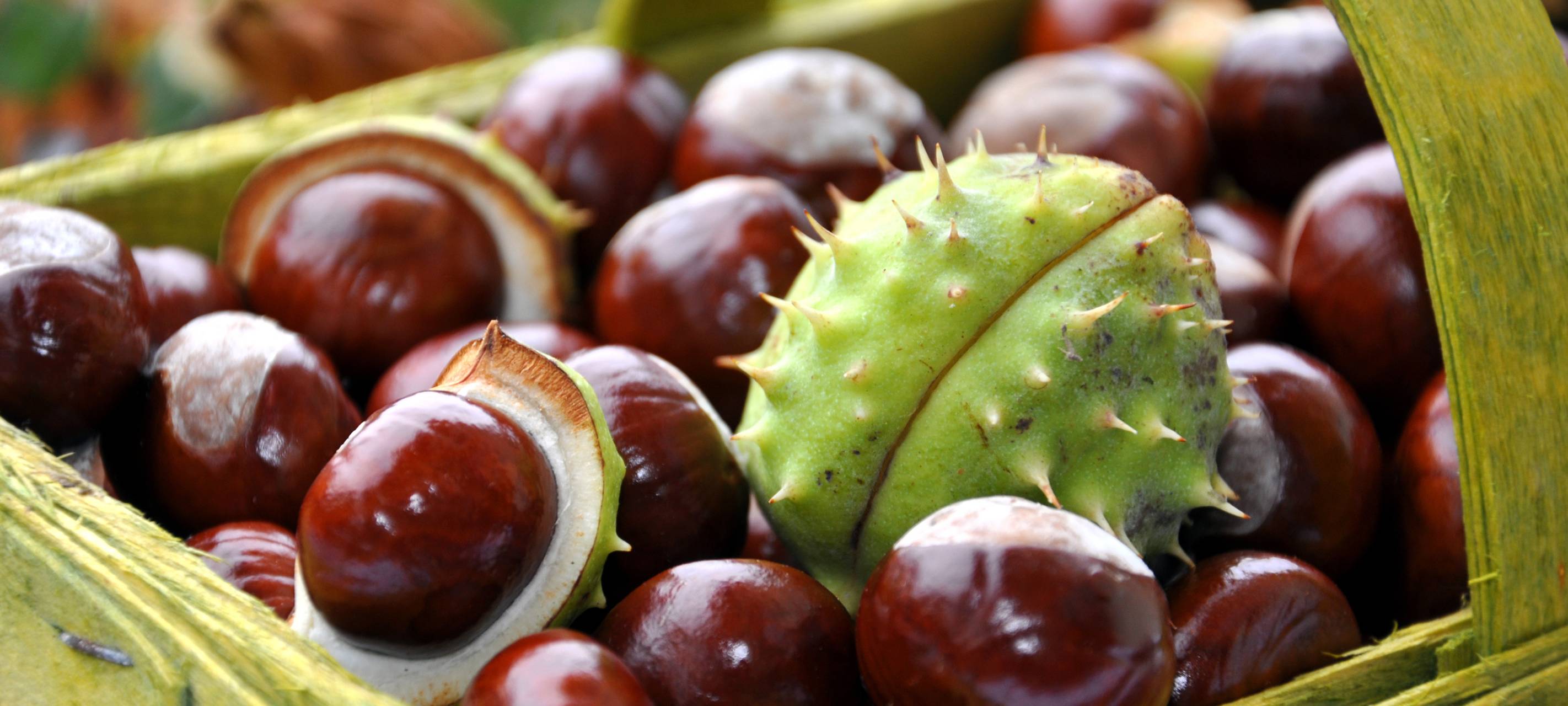 Sendung vom 29.09.2024