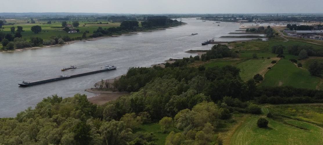 NRW/Euregio: Rückkehr des Störs in den Rhein