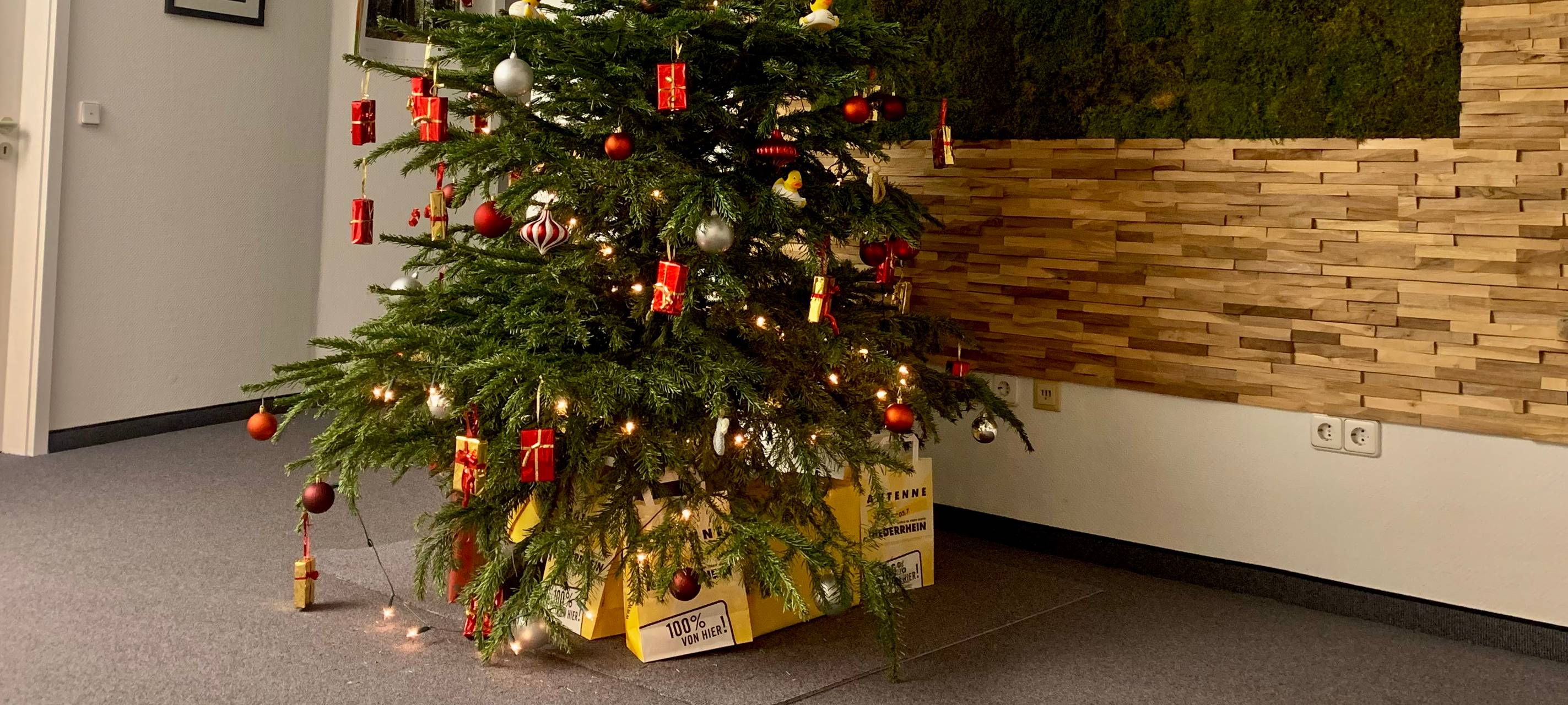 Tannenbaum-Sammelaktionen im Kreis Kleve