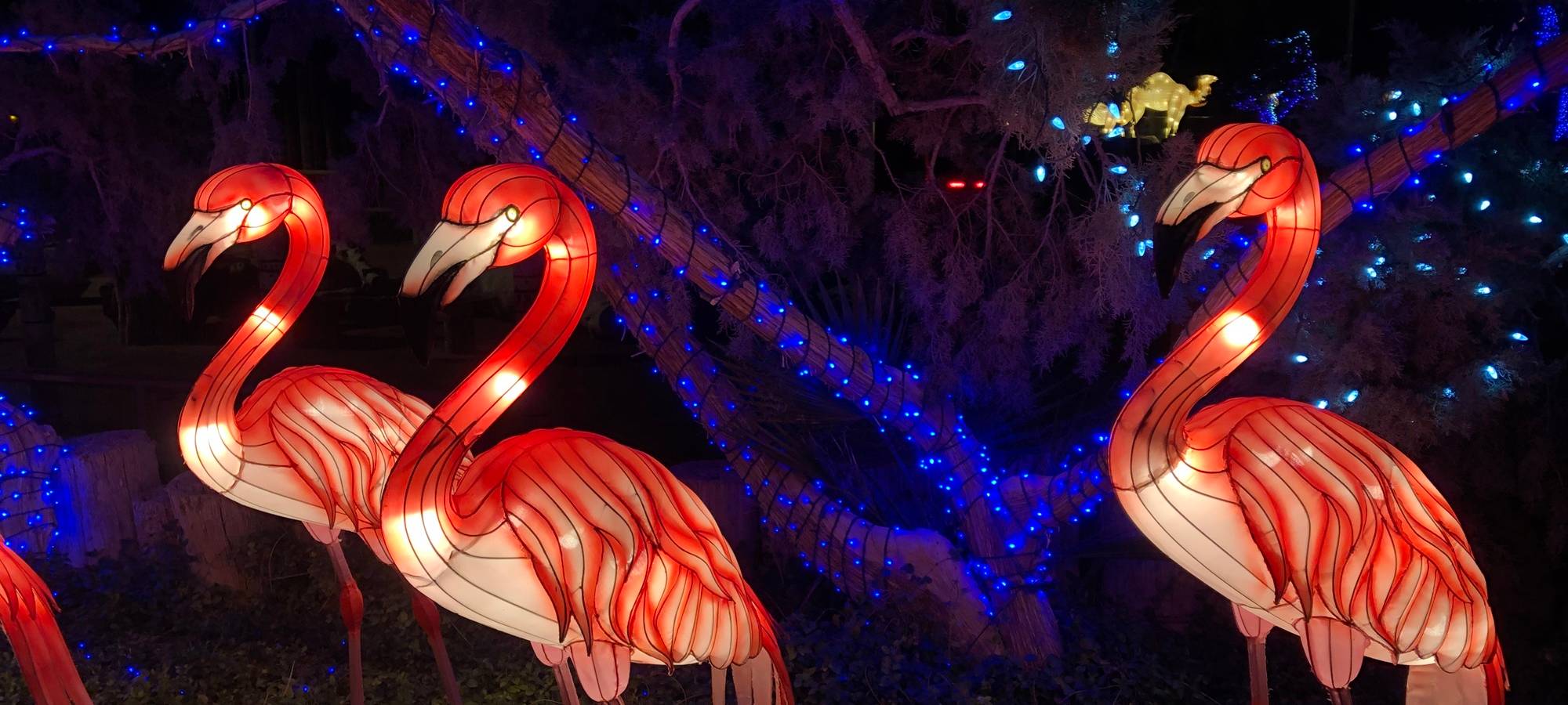 China-Lights im Tiergarten Kleve - noch bis zum 30.11.2025