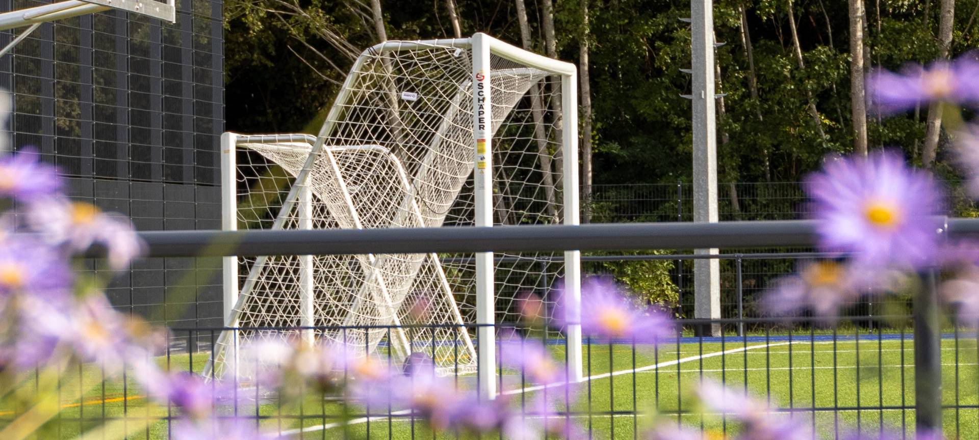 Kleve: Stadt fördert Kauf von Sportgeräten