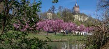 Kleve: Anmeldezahlen für weiterführende Schulen liegen vor