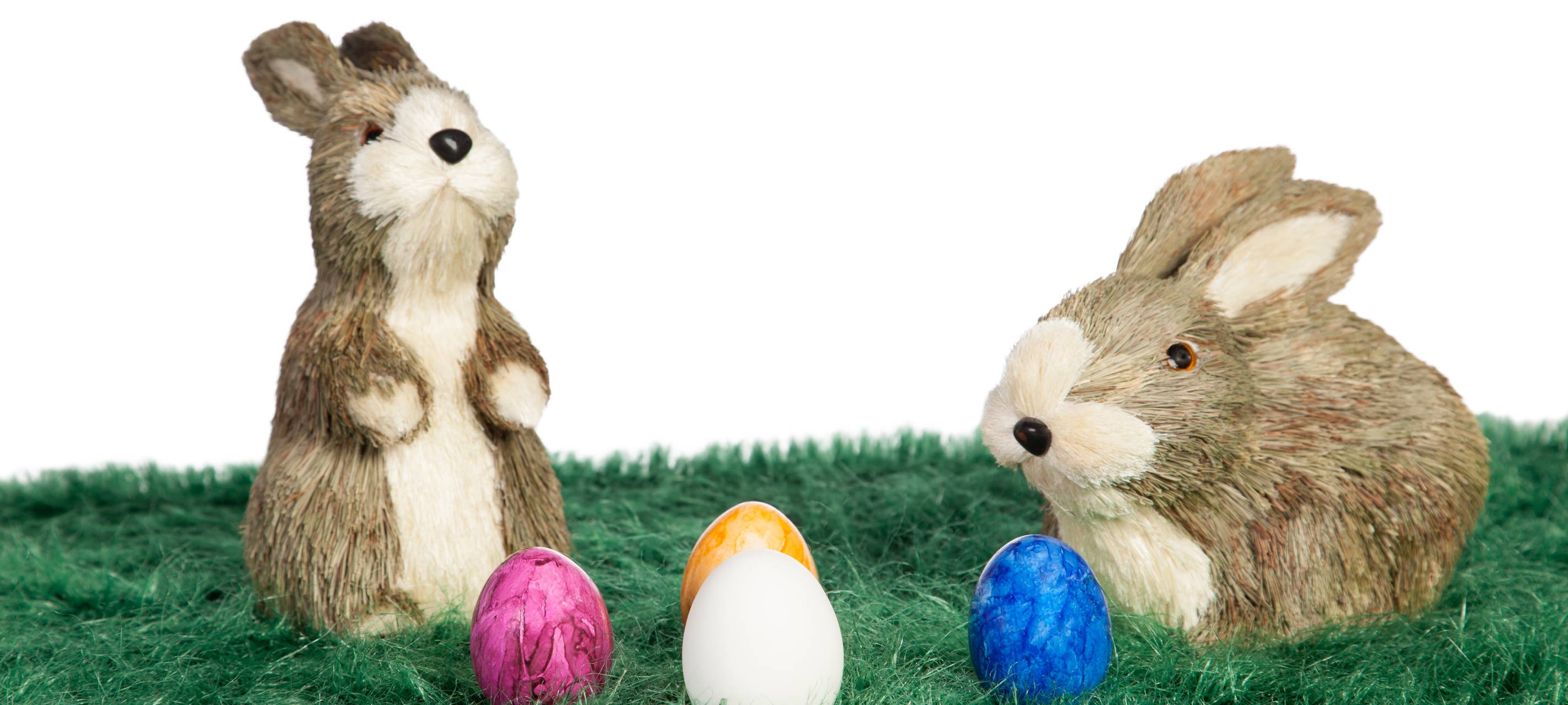 NRW/Niederrhein: Genug Eier zu Ostern