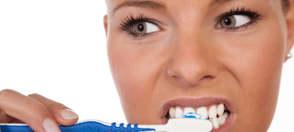 Nachklapp zum "Tag der Zahgesundheit 2025" - Grundschüler besuchen Tiergarten Kleve