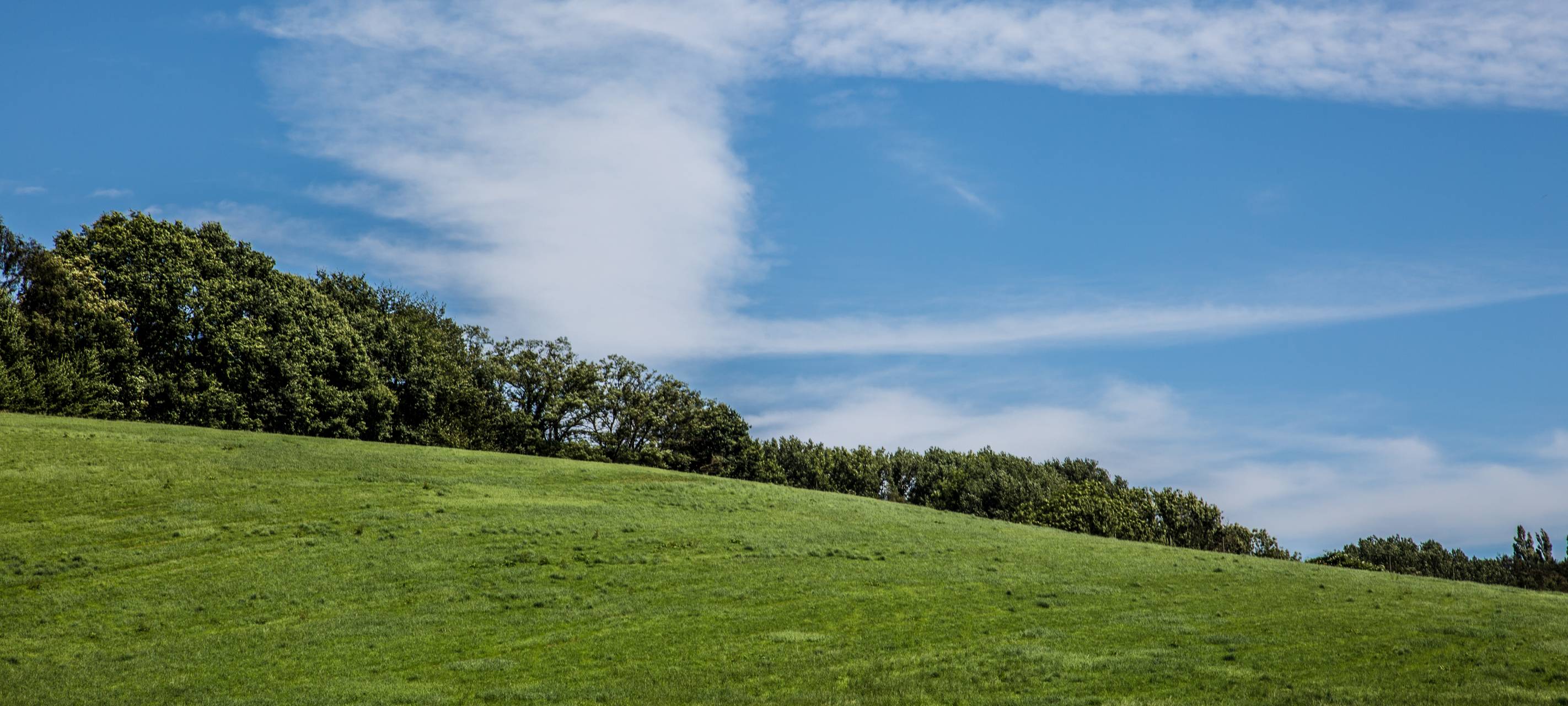 Frühkartoffeln vom Niederrhein