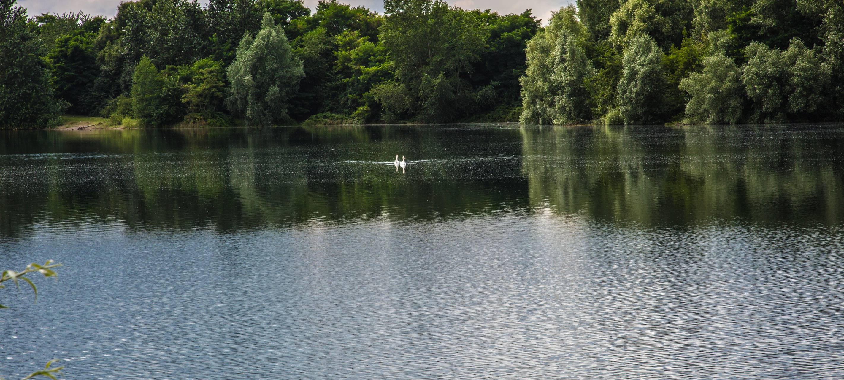Niederrhein: Kreise Wesel und Kleve zählen zu wasserreichsten Regionen