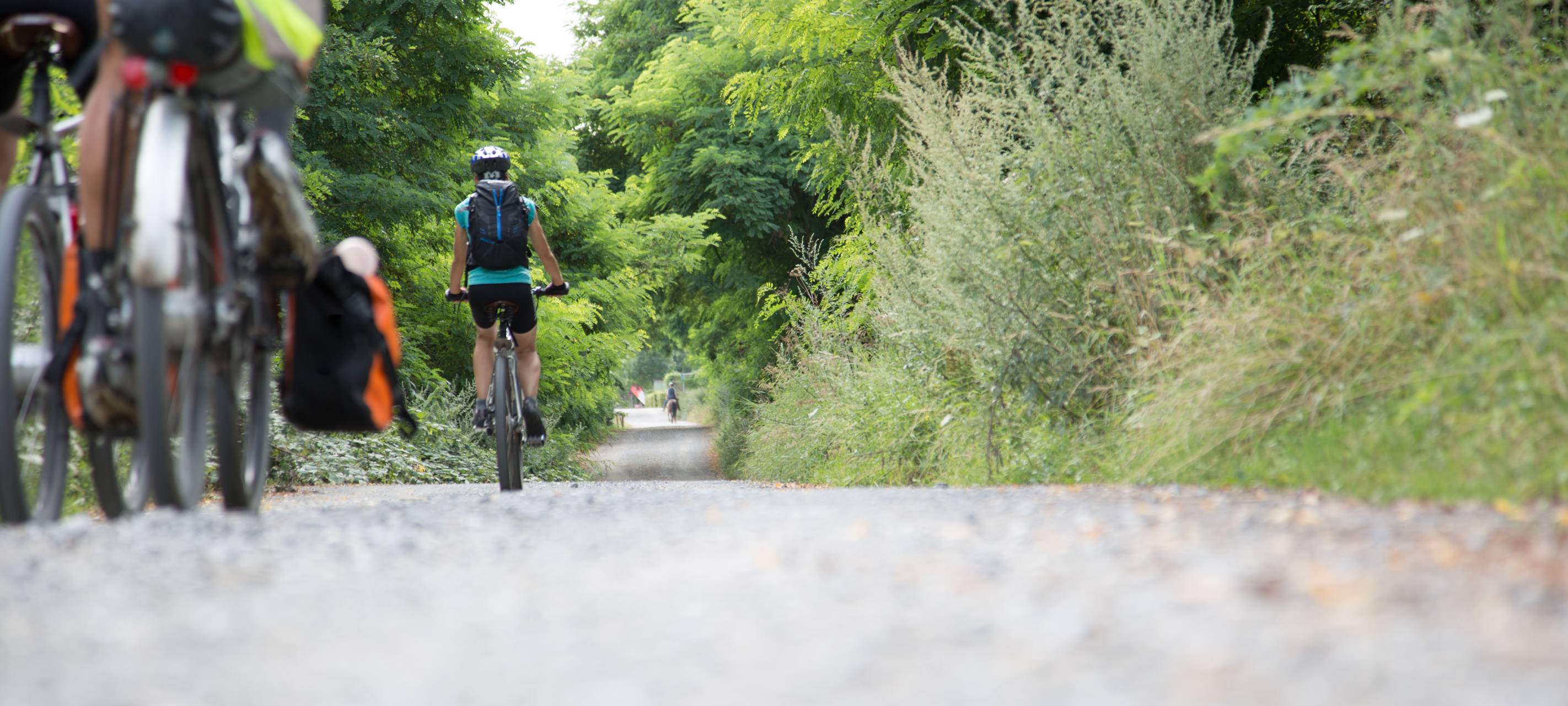 Kreis Kleve: Stadtradeln in allen 16 Kommunen startet