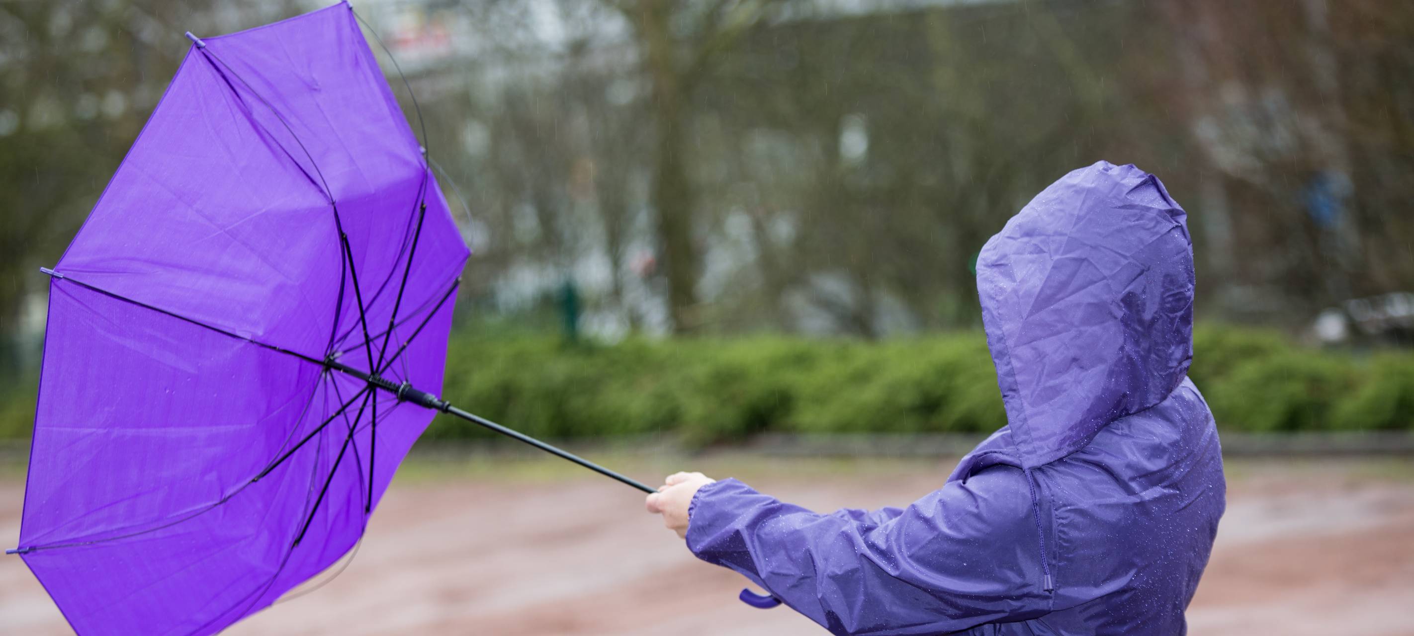 Kreis Kleve: Sturm sorgt für wenig Beeinträchtigung