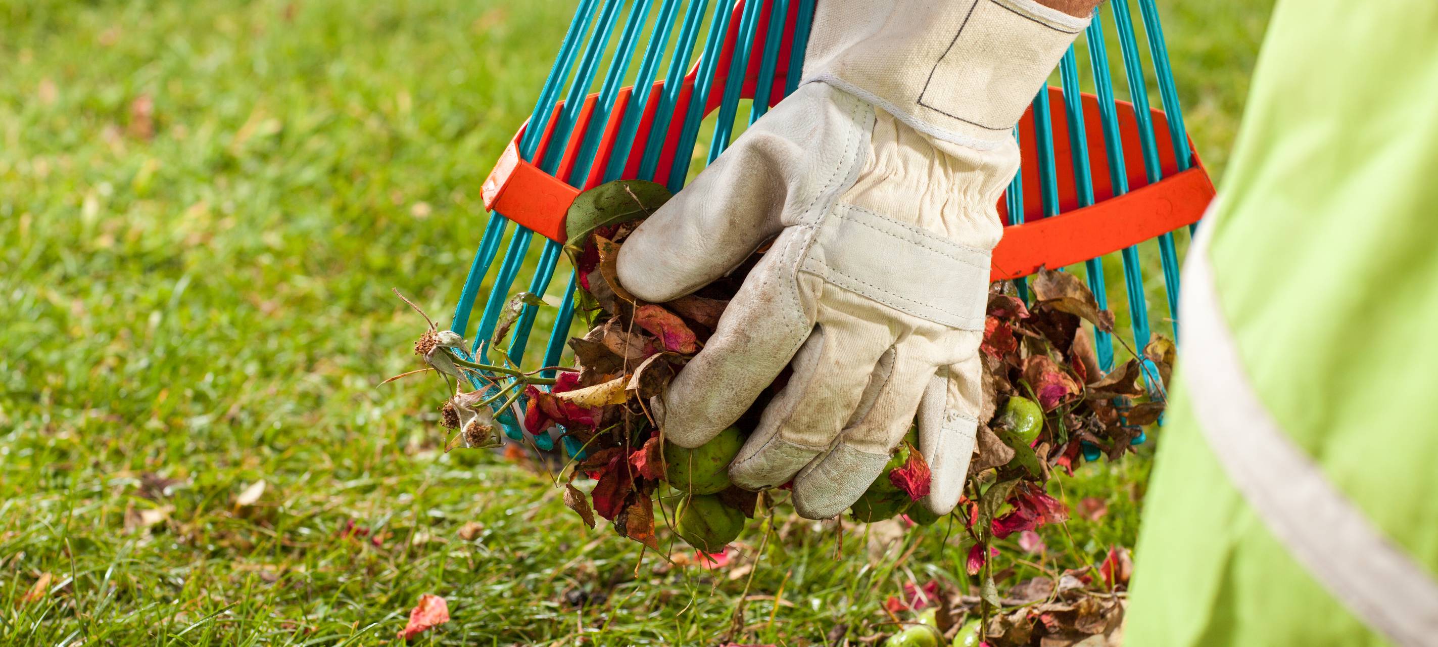 Service: Alles rund ums Herbstlaub