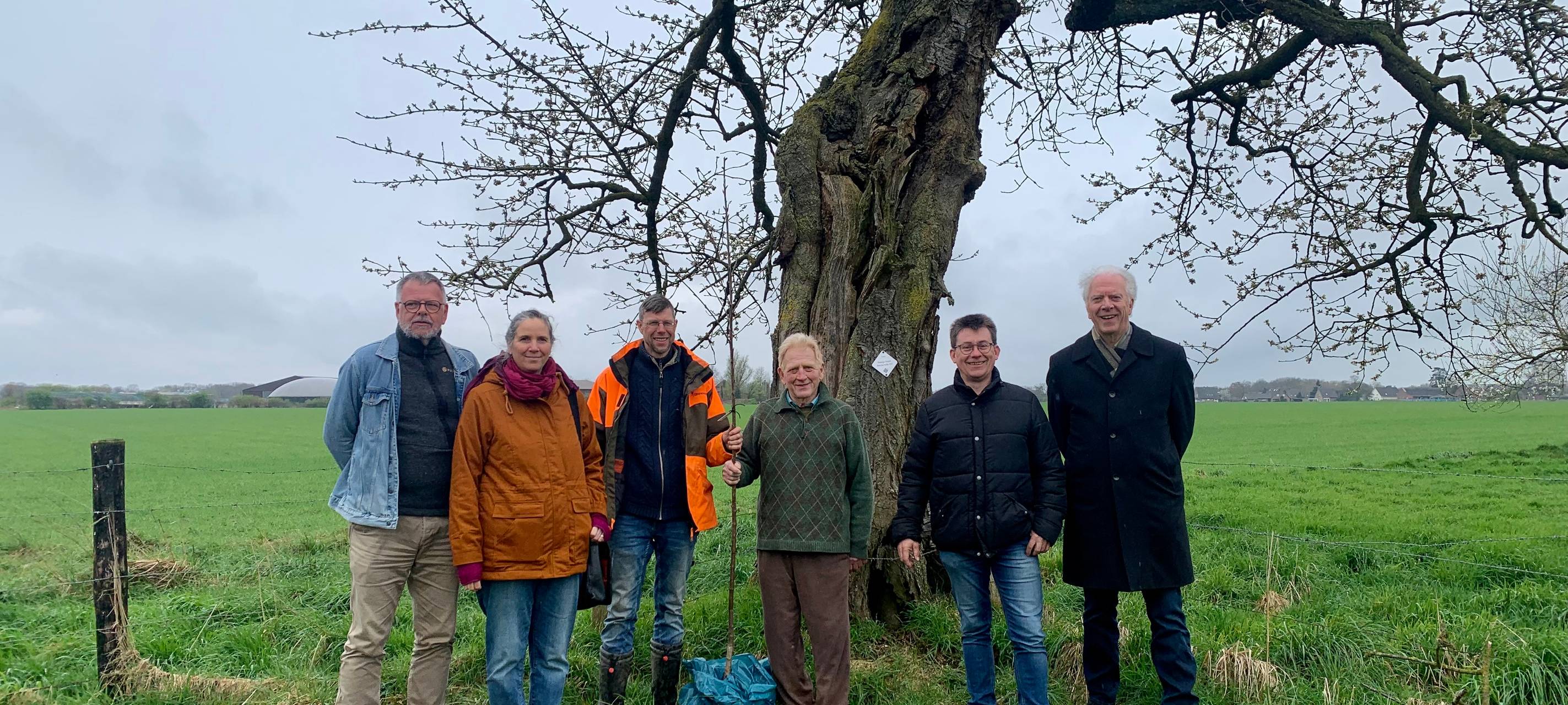 Seltene Kirschsorten im Kreis Kleve entdeckt