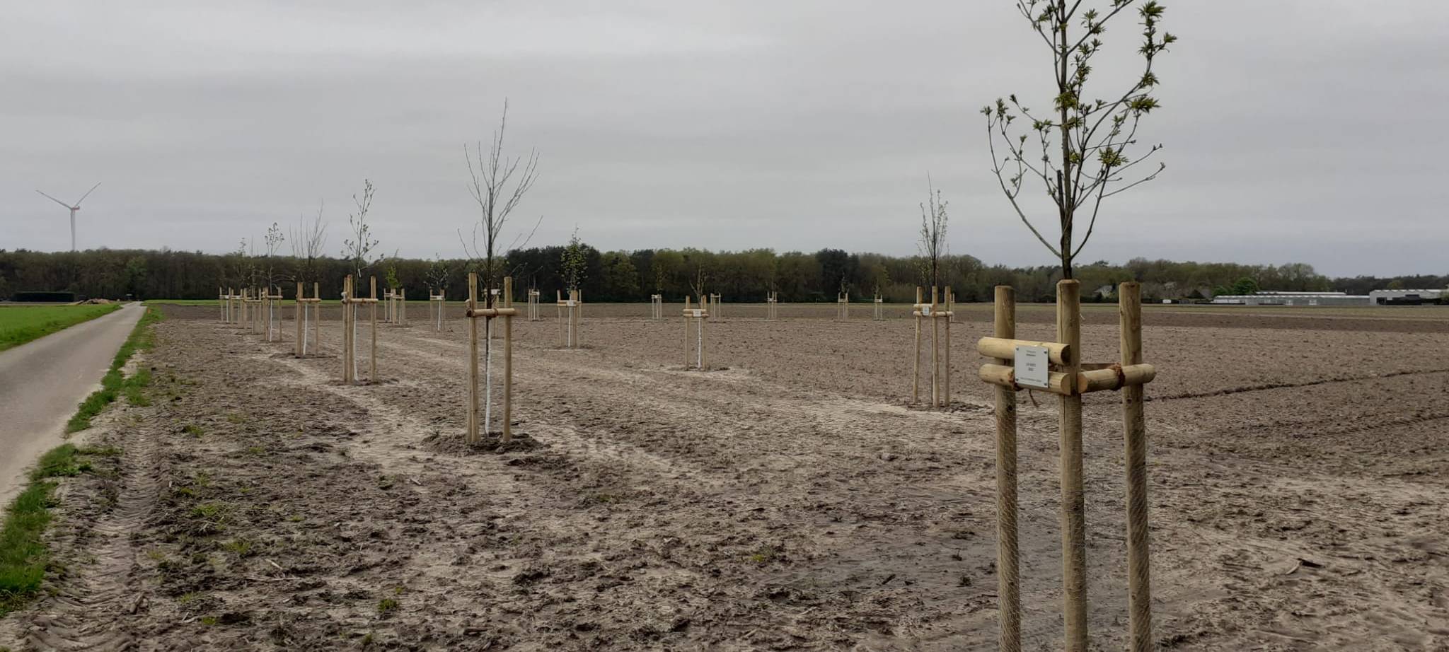 Geburtenwald in Geldern-Lüllingen