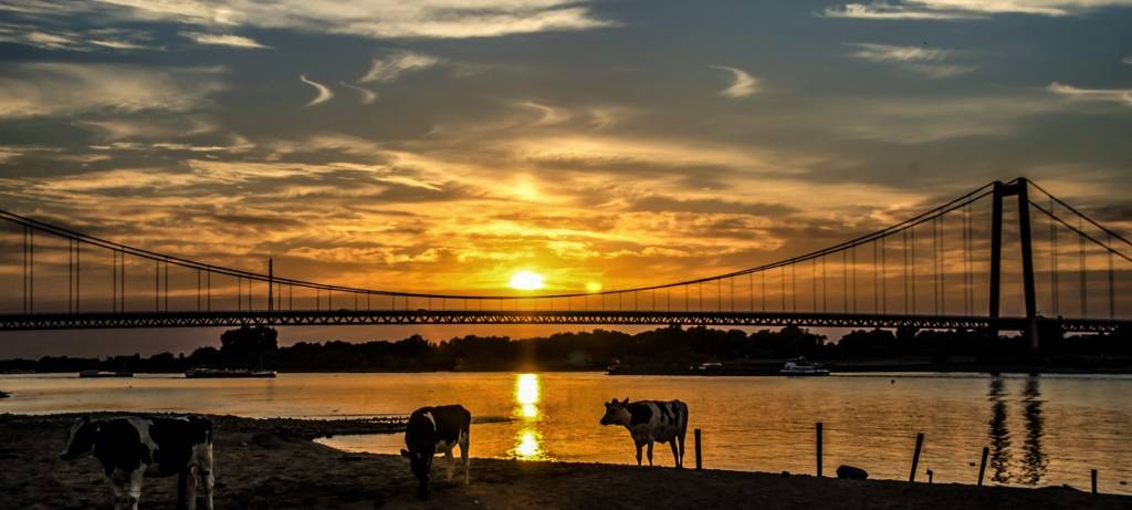 Rheinbrücke Emmerich - Willi Ingenhaag