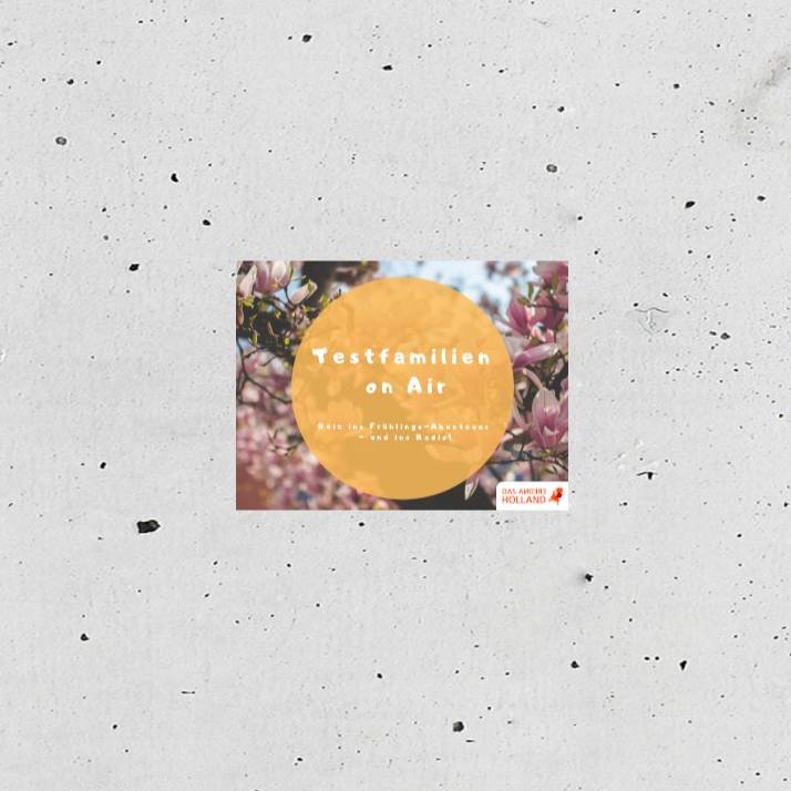 Das andere Holland entdecken