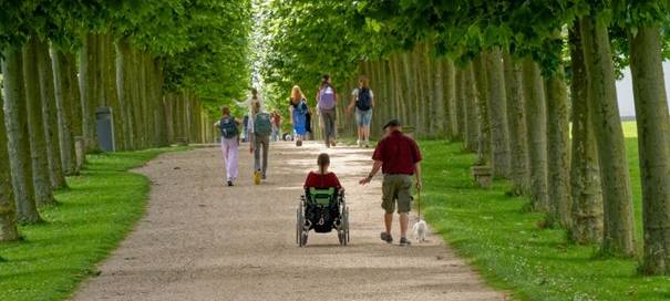 Xanten: Platanen-Allee im APX ist Allee des Jahres