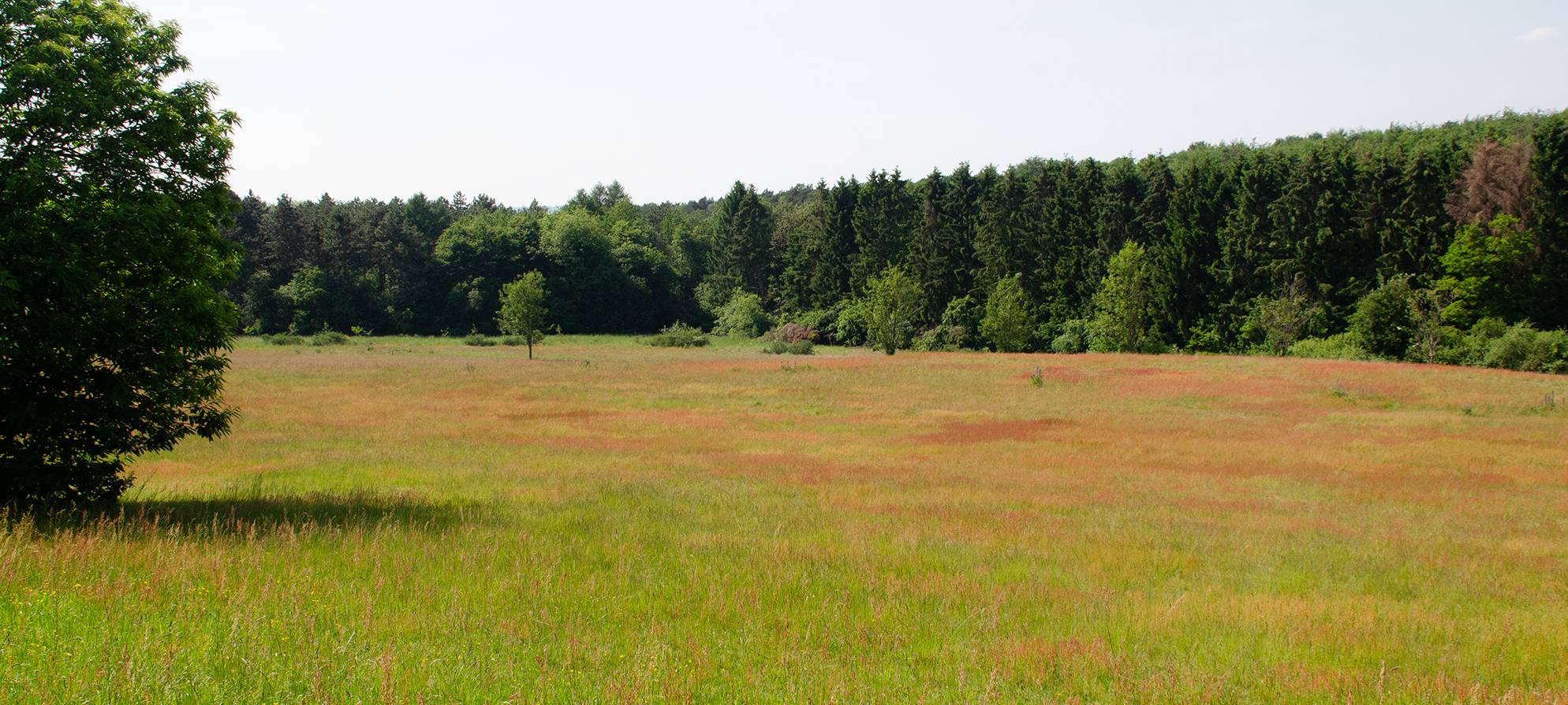 Kleve: Maßnahmenplan für Bundeswehrgelände soll erstellt werden
