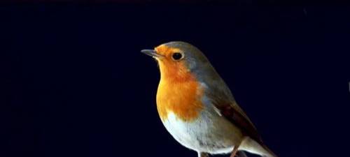 ymbmöldfnölölmnöl