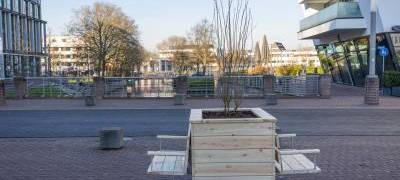 Kleve: Mobiles Grün für die Innenstadt