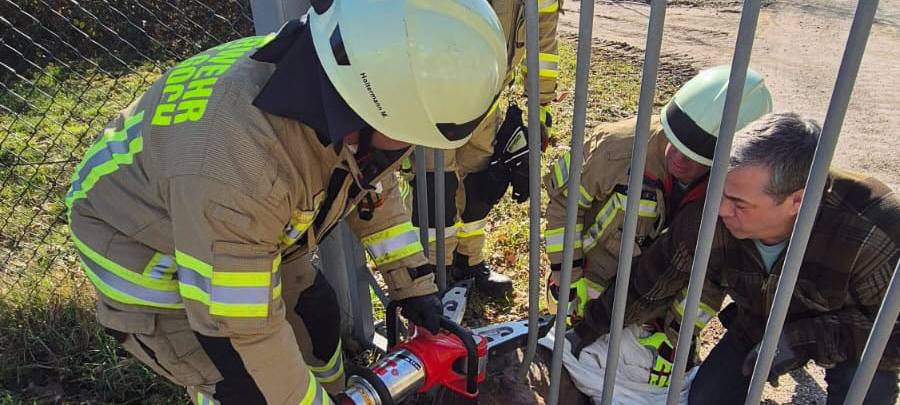 Goch: Feuerwehr rettet eingeklemmtes Reh