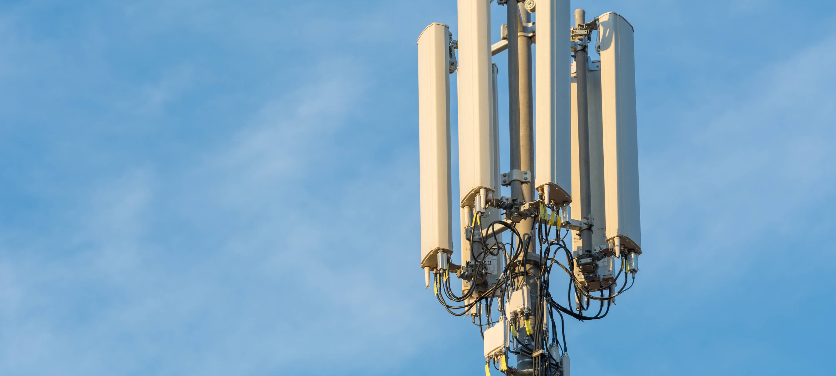 Niederrhein: Telekom mit Mobilfunknetz zufrieden