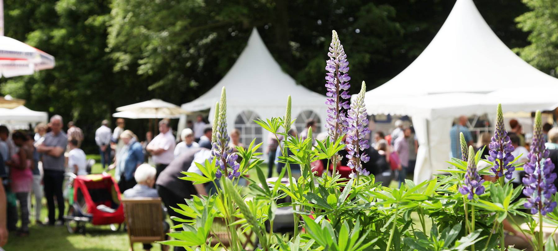 GartenLeben im Park von Schloss Moyland
