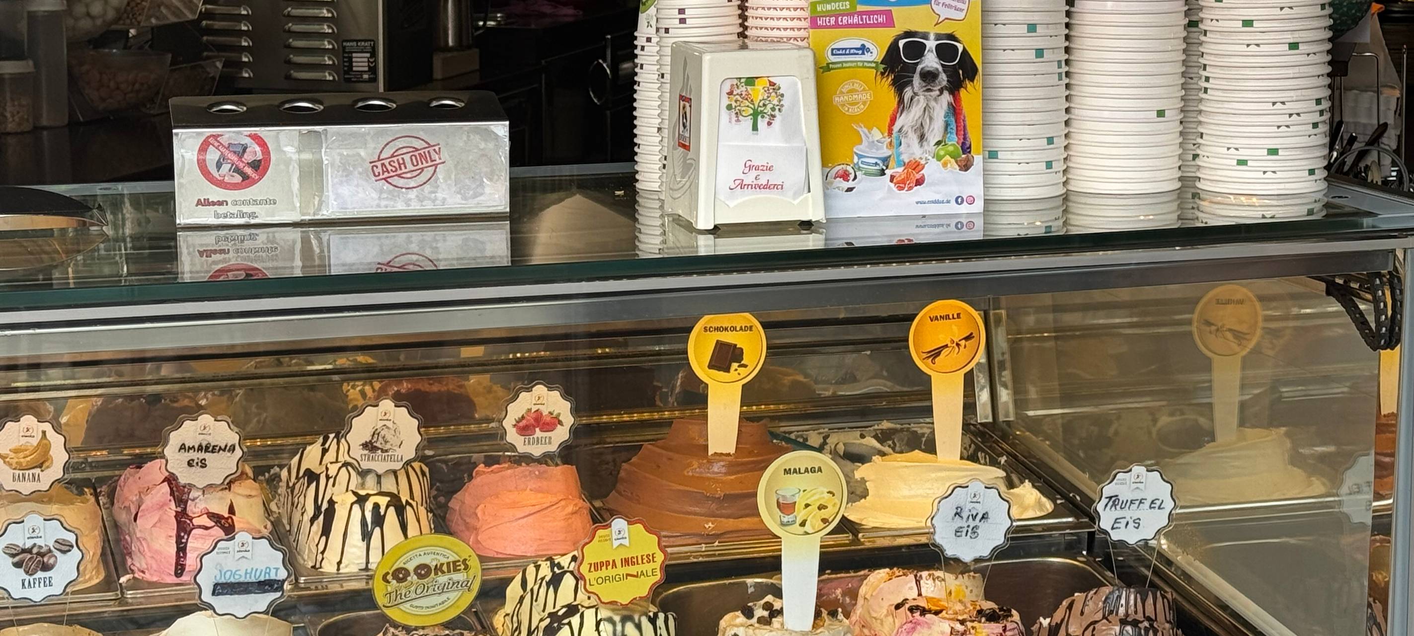 Spezielles Eis für Hunde