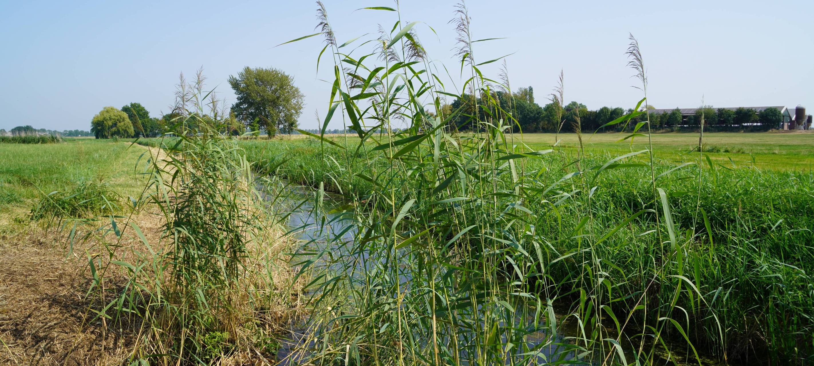 Emmerich: NRW-Stifung mit neuer Fläche an der Hetter