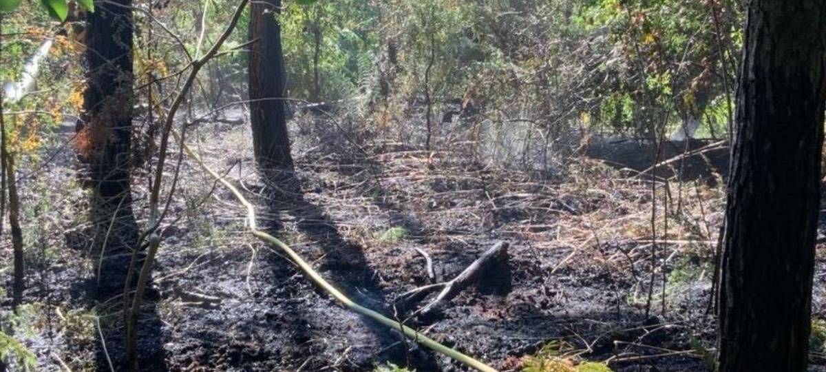 Straelen: Weitere Waldbrände in Herongen
