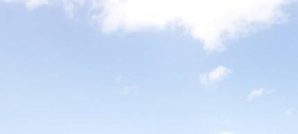 Ein Foto mit Giraffe - kein Problem.