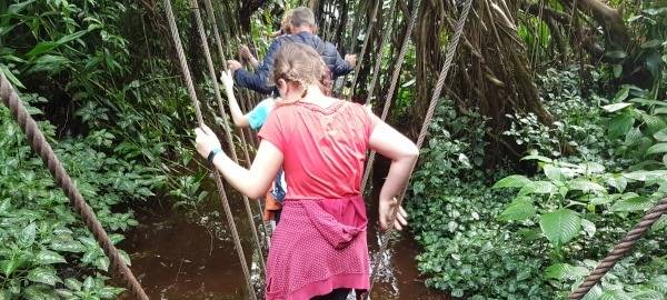 Einer nach dem anderen...