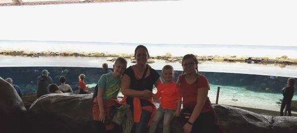 Im Aquarium kann man viele Fische ganz nah erleben