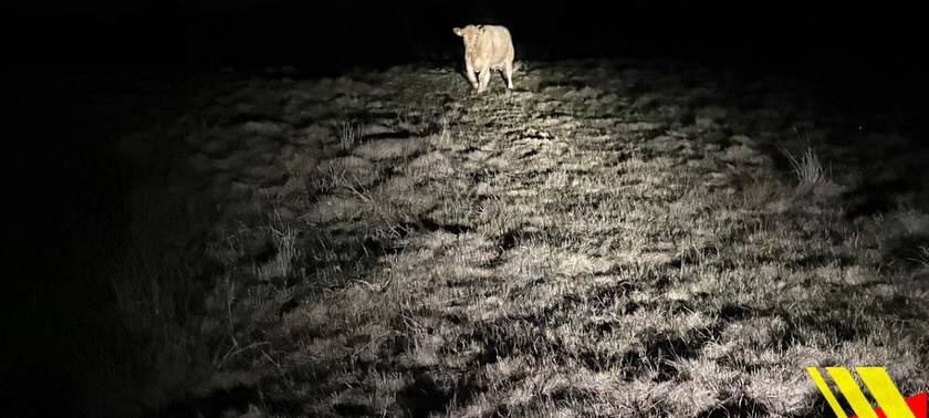 Kalkar: 22 Feuerwehrleute als Cowboys im Einsatz