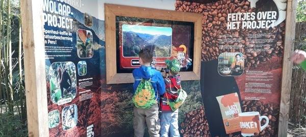 Die beiden Jungs sind von den Affen begeistert.