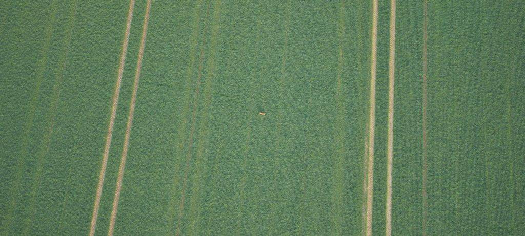 Kerken: Grüne Kreuze als stiller Protest gegen Agrarpaket